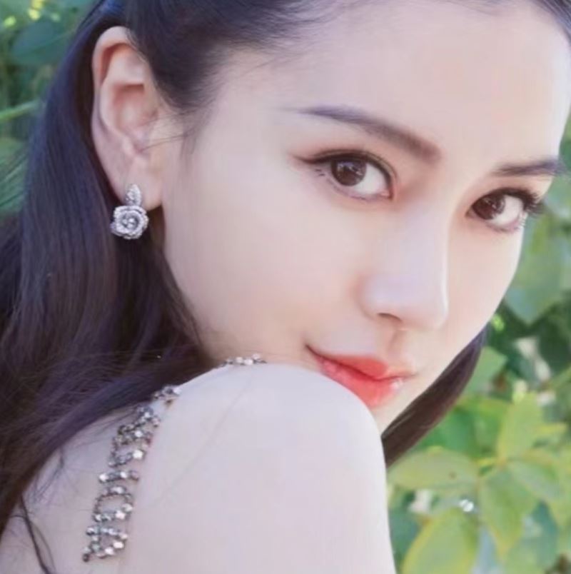 chr1st1an D10r earrings